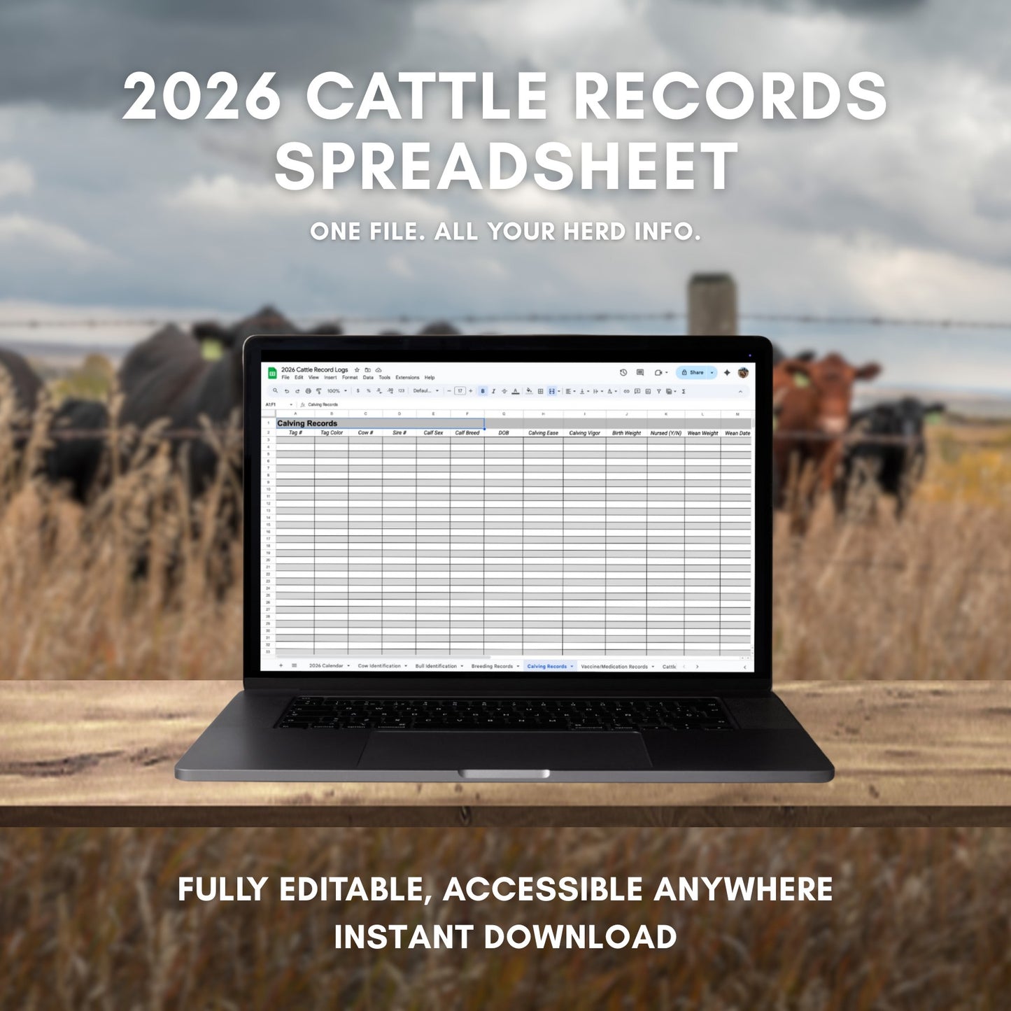 2026 Cattle Records Spreadsheet