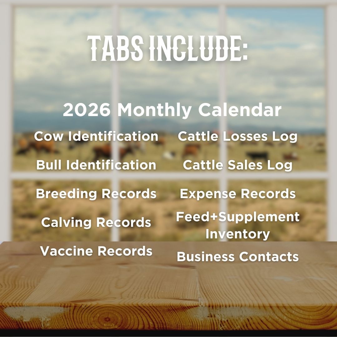 2026 Cattle Records Spreadsheet