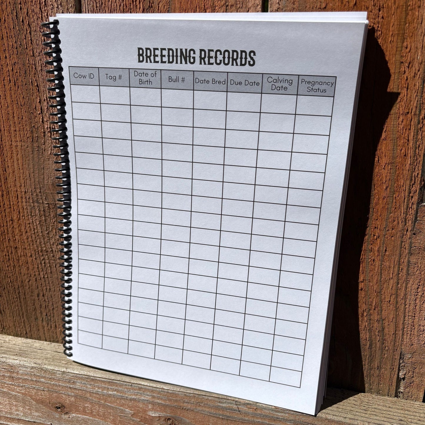 Cow Calf Records Book