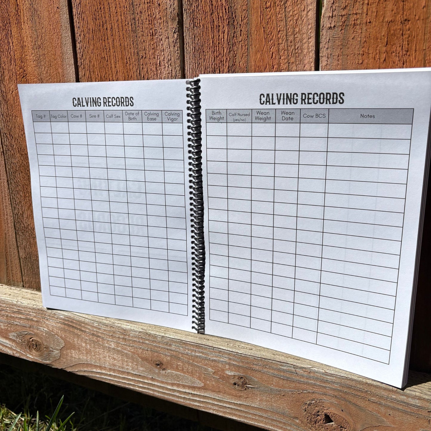 Cow Calf Records Book
