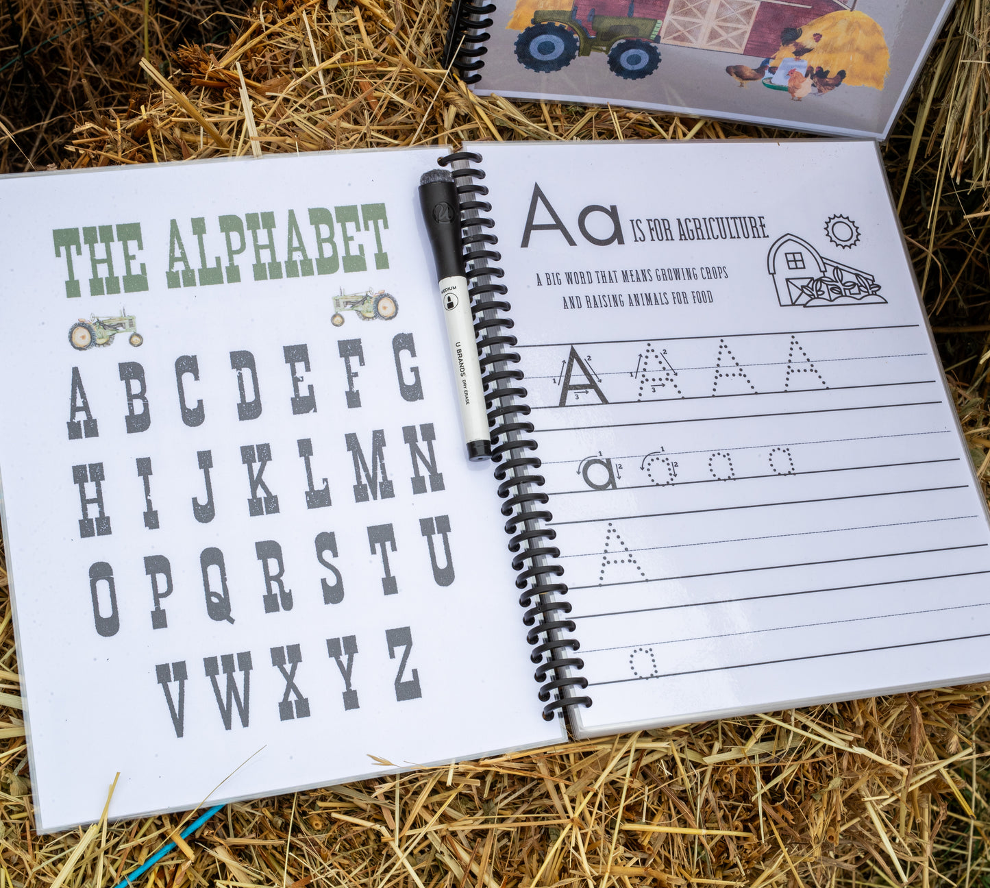 The Farmkids Alphabet and Numbers 0-20 - Dry Erase Workbook
