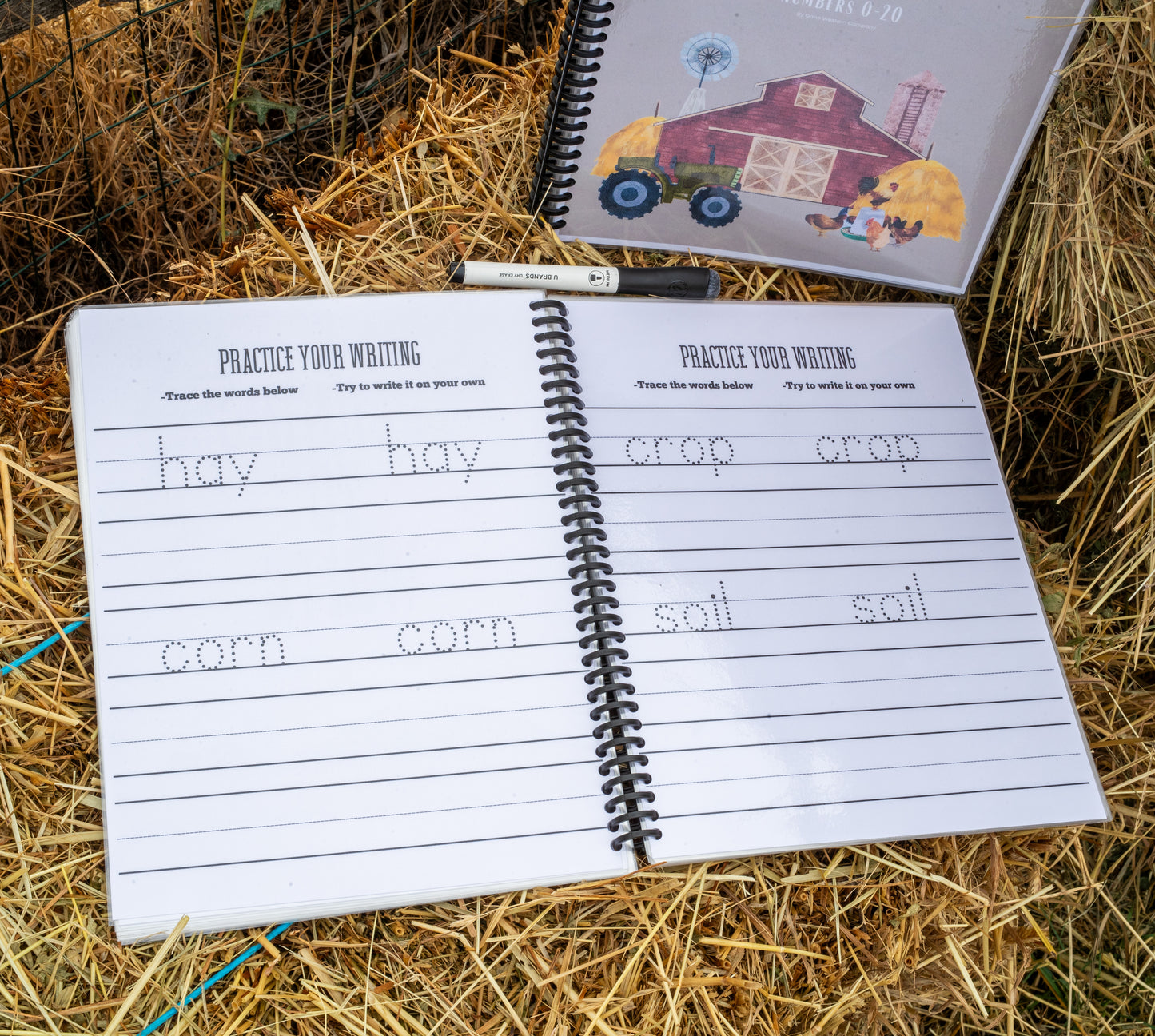 The Farmkids Alphabet and Numbers 0-20 - Dry Erase Workbook