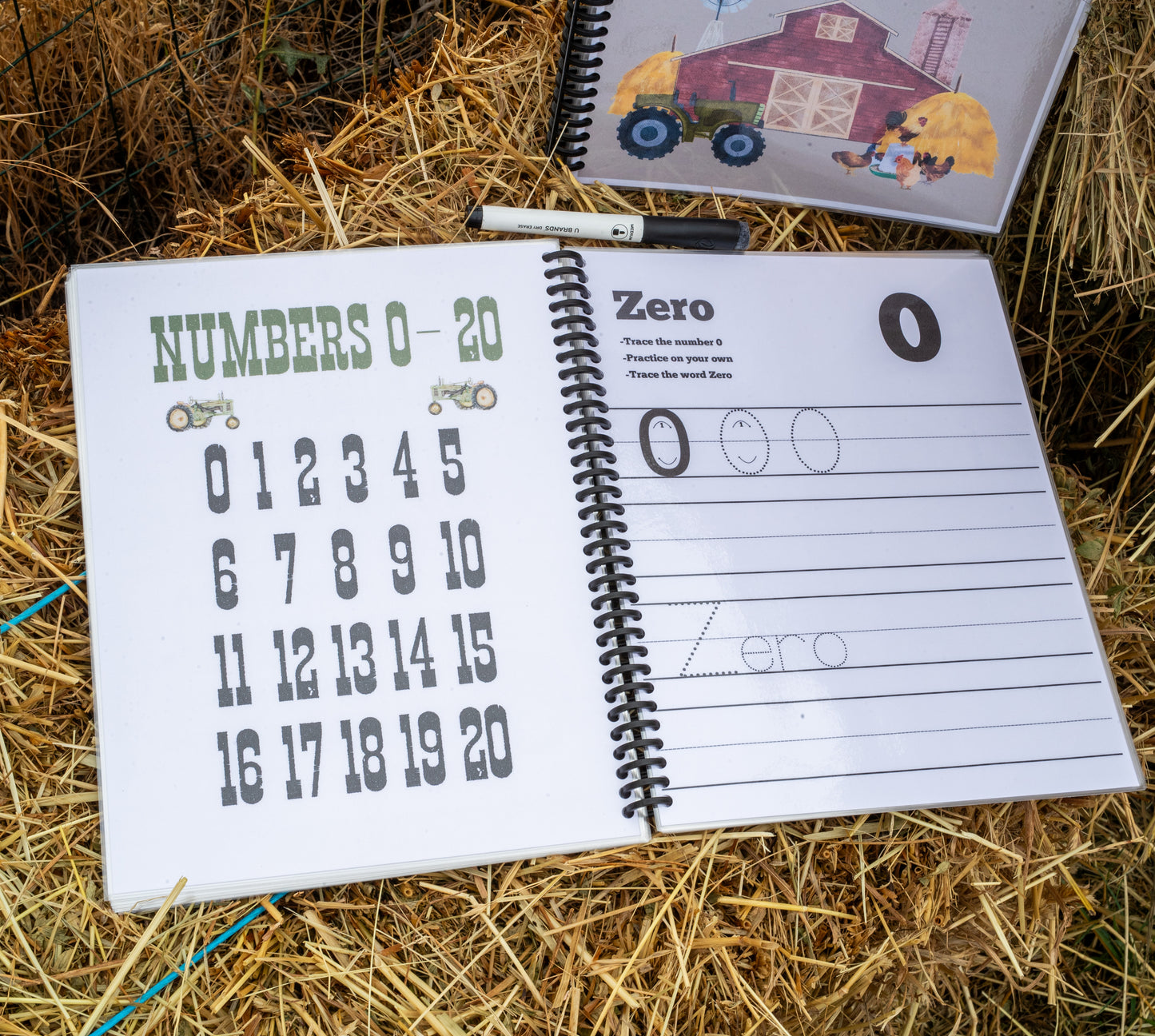 The Farmkids Alphabet and Numbers 0-20 - Dry Erase Workbook