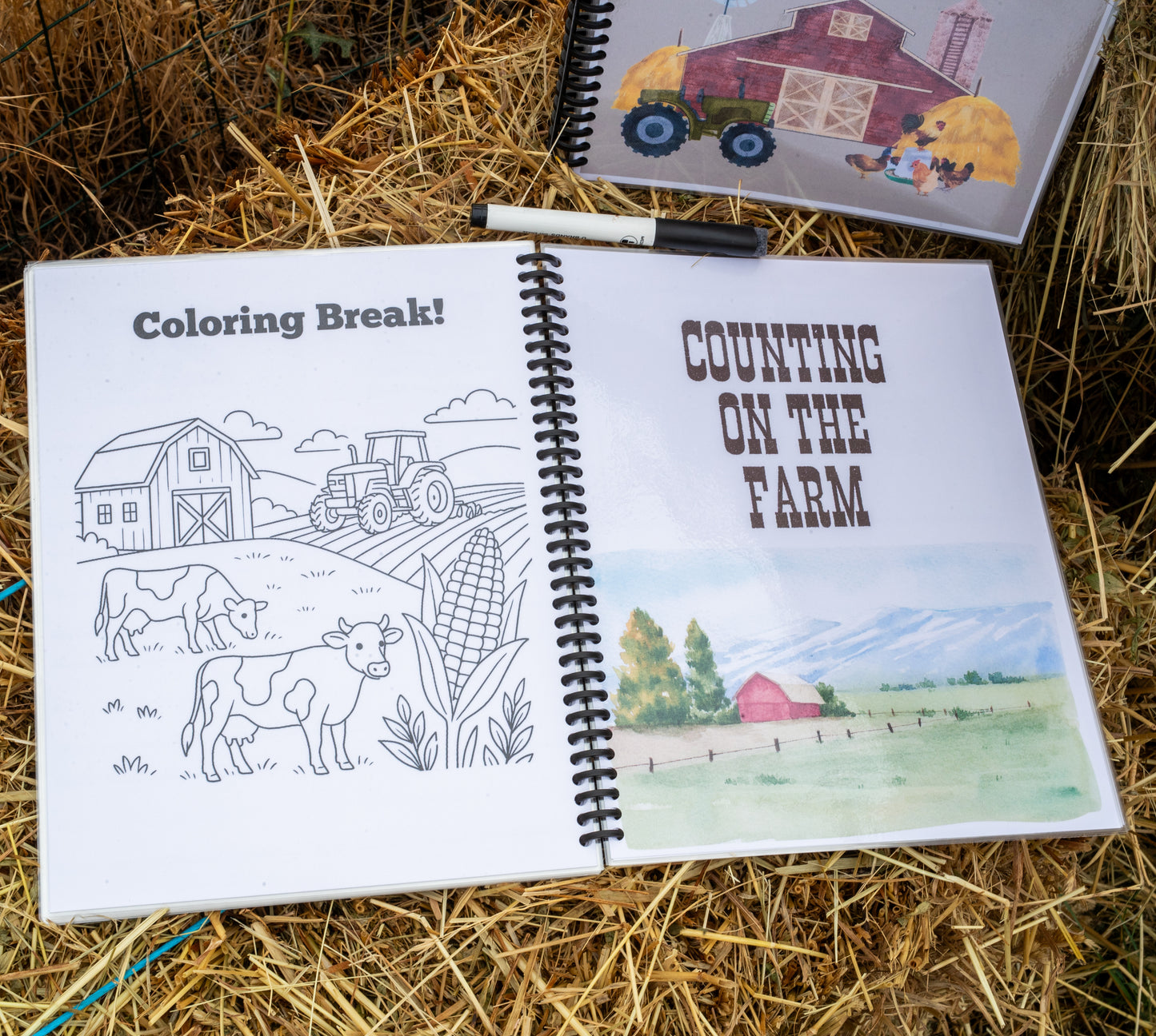 The Farmkids Alphabet and Numbers 0-20 - Dry Erase Workbook