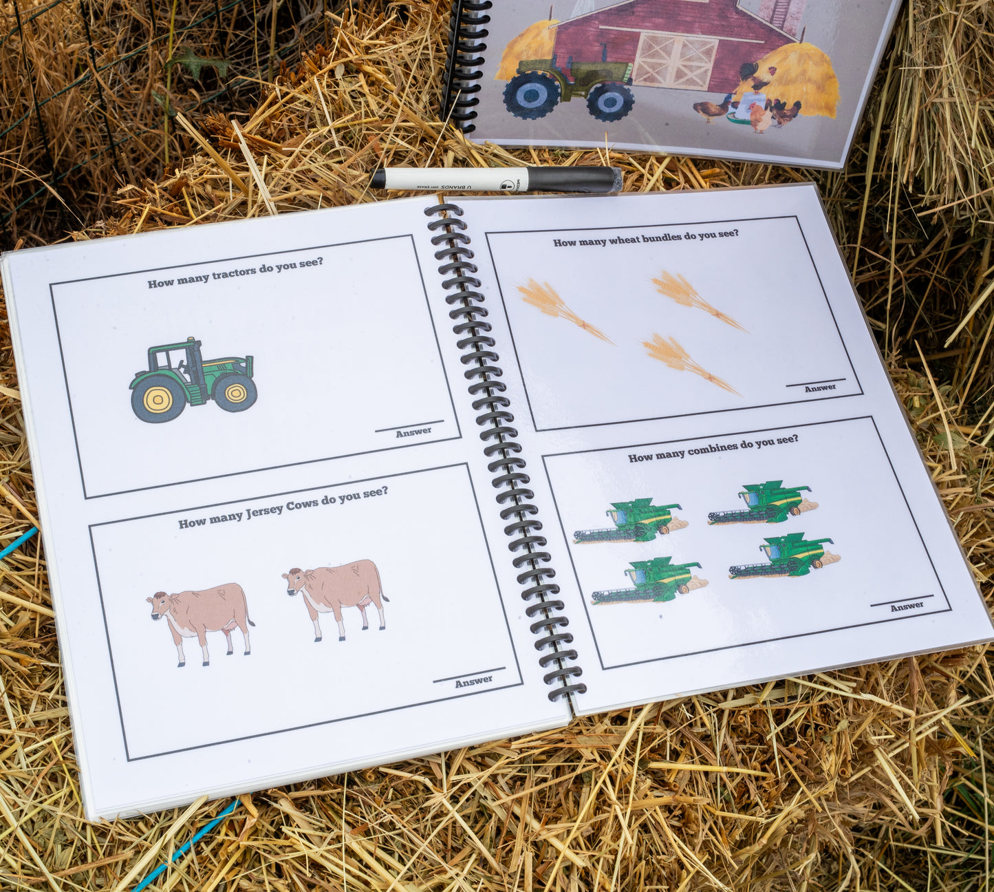 The Farmkids Alphabet and Numbers 0-20 - Dry Erase Workbook