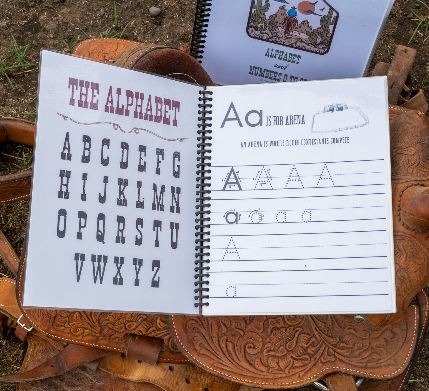 The Cowkids Alphabet and Numbers 0-20 - Dry Erase Workbook