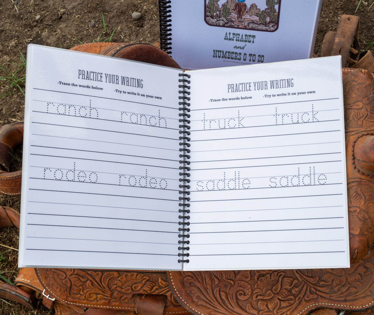 The Cowkids Alphabet and Numbers 0-20 - Dry Erase Workbook