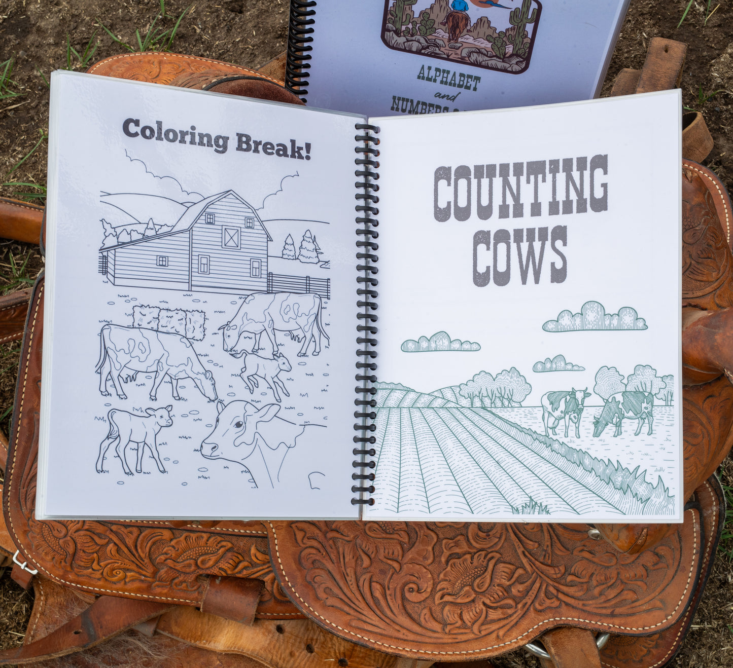 The Cowkids Alphabet and Numbers 0-20 - Dry Erase Workbook