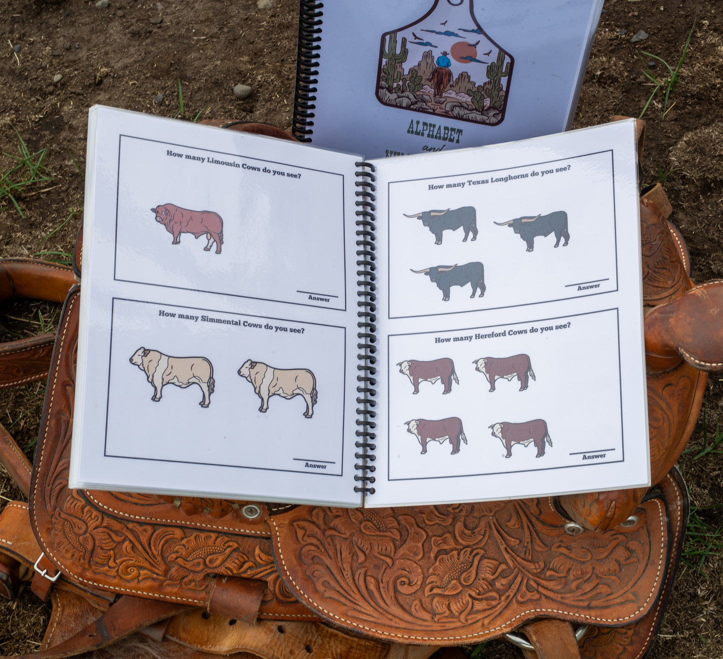 The Cowkids Alphabet and Numbers 0-20 - Dry Erase Workbook