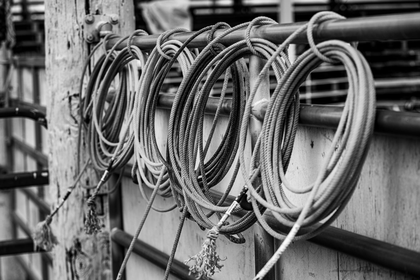 Ropes of The West