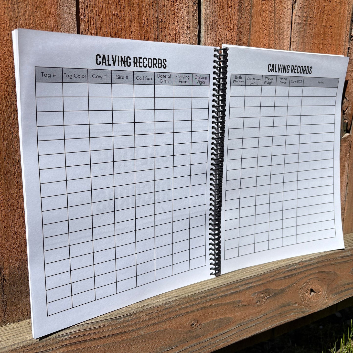Cow Calf Records Book