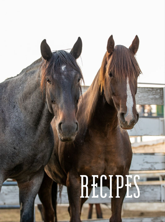Broncs Recipe Book