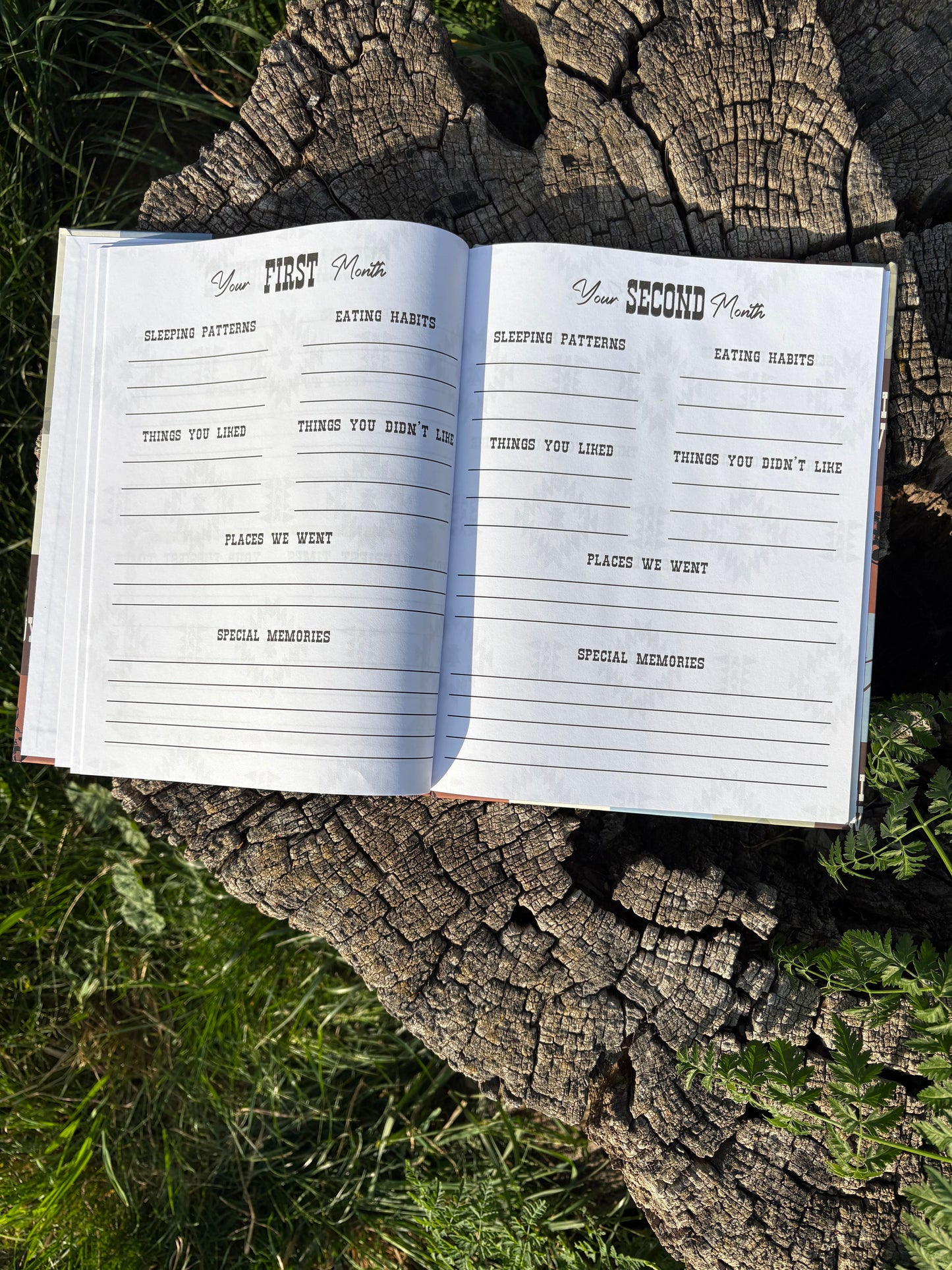 Baby Memory Book